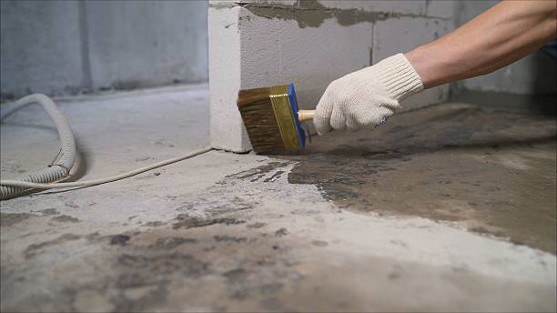 Top rated local Basement Waterproofing specialists in Rogers, TX